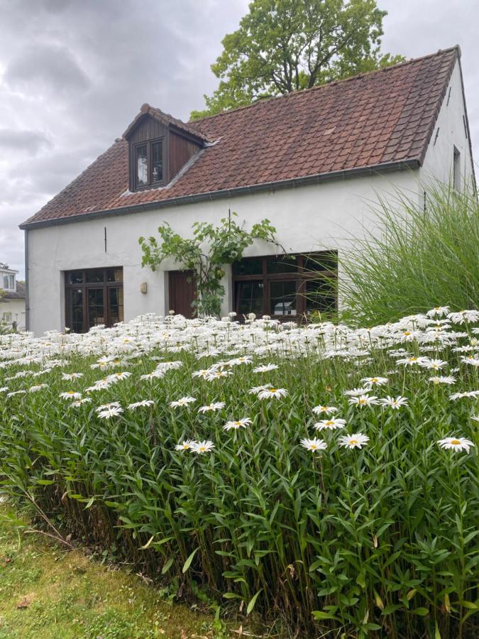 Vila Perlefien Zottegem Exteriér fotografie